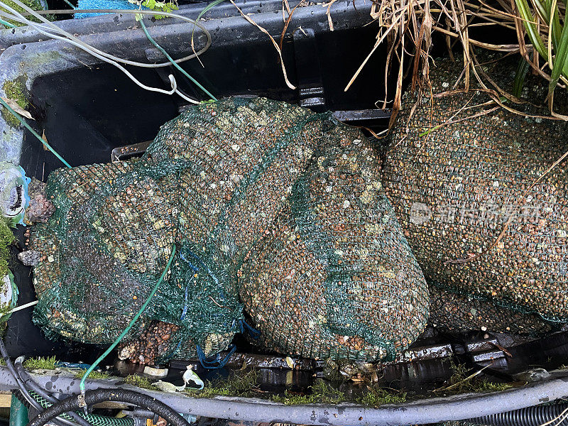 塑胶花园池塘滤水器/锦鲤滤水器的图像，水和滤砾石的网袋被移除以清洁，高架景观